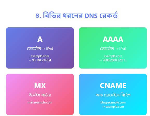 DNS এর বিভিন্ন অংশ